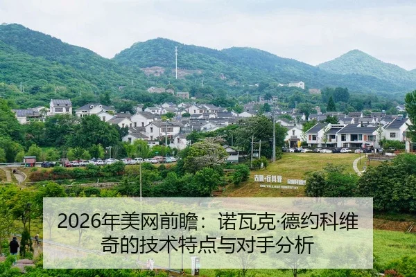 2026年美网前瞻：诺瓦克·德约科维奇的技术特点与对手分析